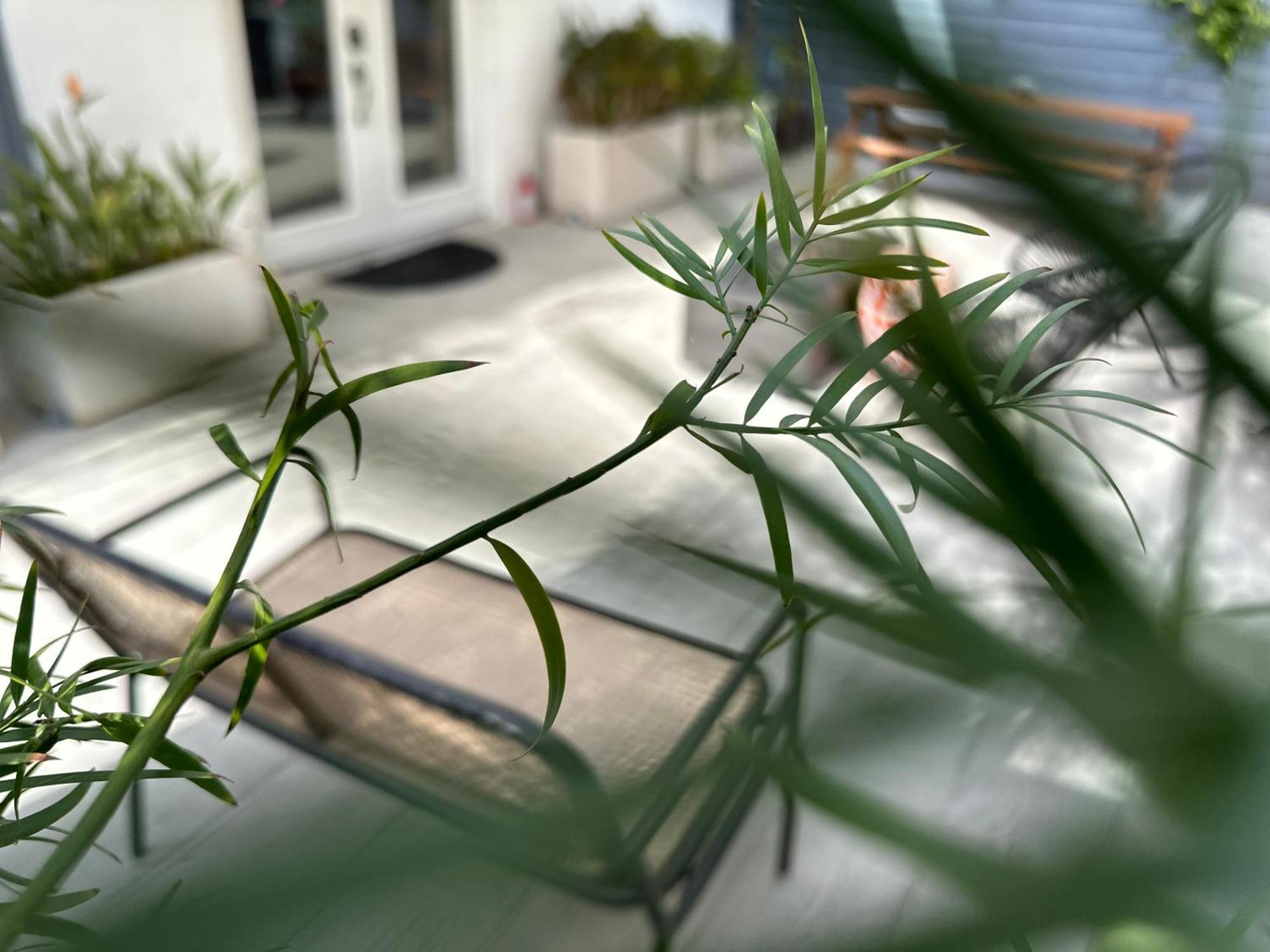 Resort Getaway In Private Garden Terrace Villa W Luxury Amenities Los Angeles Exterior foto